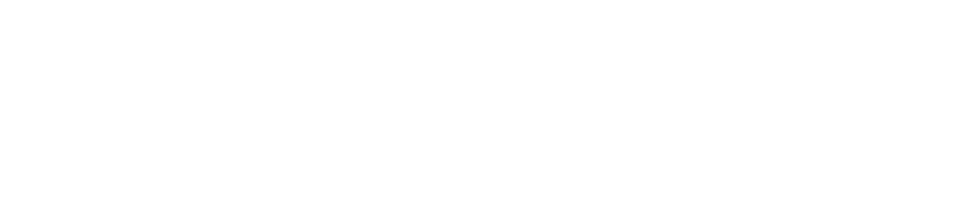 LOGO OPACKGROUP 2 OBLONG DIAP